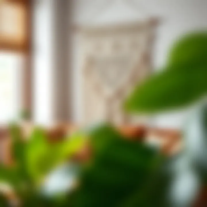 Finished macrame wall art in a cozy setting