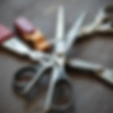 An illustration showing proper scissor maintenance techniques.