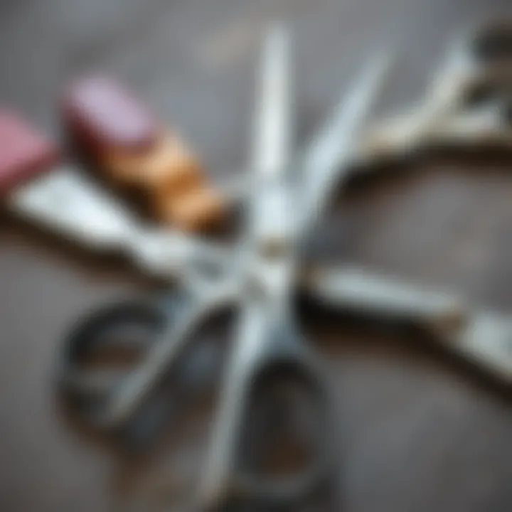 An illustration showing proper scissor maintenance techniques.