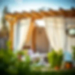 A serene outdoor scene showcasing natural light