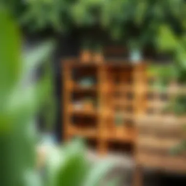 Functional and aesthetic pallet shelving in a garden