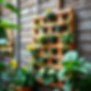 Vertical garden using pallets for space-saving