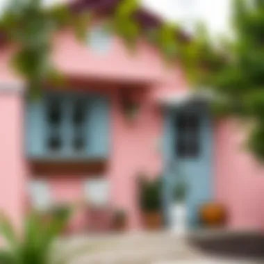 Unique Pink House Exterior Design Unique pink exterior design with creative elements and textures