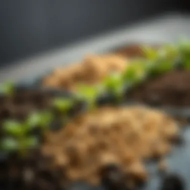 Soil Mixtures for Optimal Growth Different soil mixtures spread across a surface, illustrating the importance of soil quality for potted vegetables.