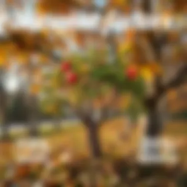 Understanding Seasonal Factors for Tree Growth An infographic illustrating the seasonal factors affecting tree growth