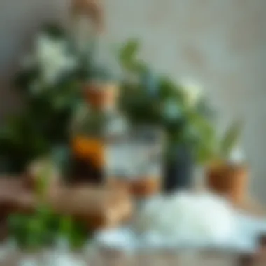 Nature's Cleaning Agents: Ingredients for Sparkling Glass Natural ingredients for cleaning glass