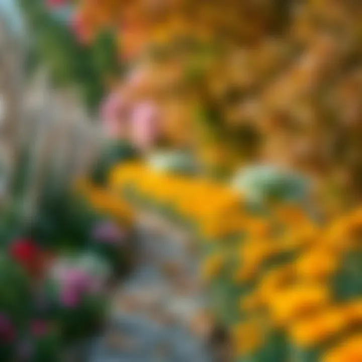 A serene garden pathway lined with autumn blooms