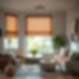 An elegant living room showcasing installed roller blinds