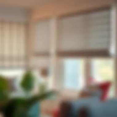 Different types of roller blinds displayed