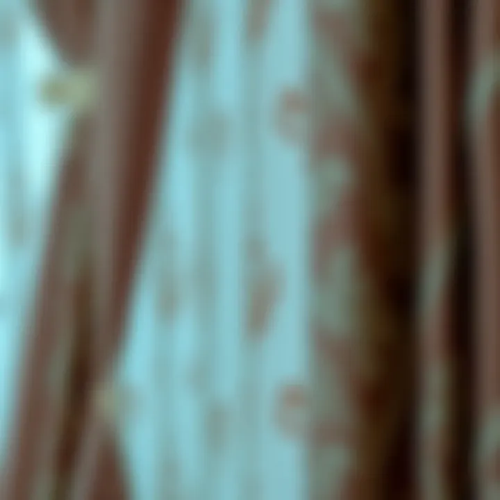 Close-up of a fabric curtain with intricate design