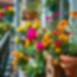Vibrant balcony garden with sun-resistant flowers
