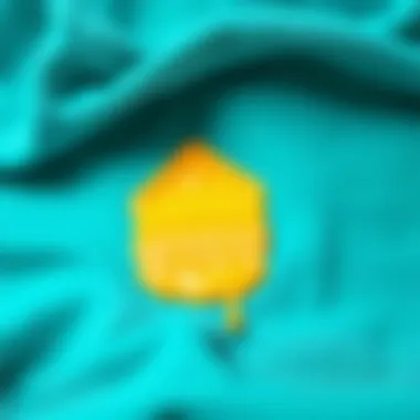 Tips for addressing fresh paint stains on clothing