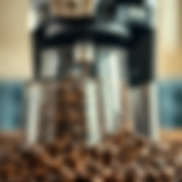 Freshly ground coffee beans