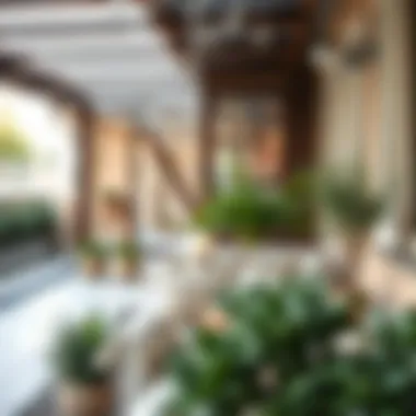 An organized terrace winter garden highlighting effective budget management in decor