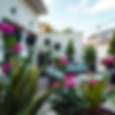 Elegant terrace adorned with vibrant plants and modern furniture