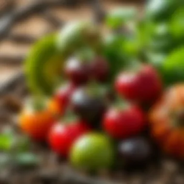 Nutritional benefits of underground fruits and vegetables.