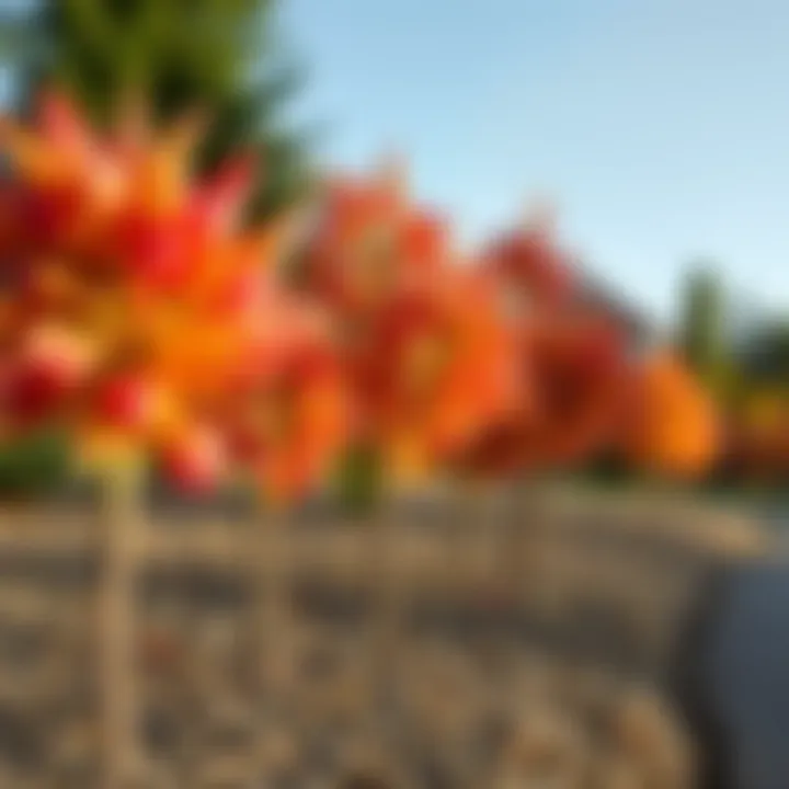 Tree Species and Their Optimal Planting Periods Different tree species and their ideal planting times