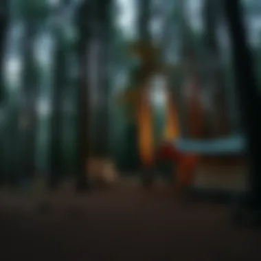 A forested area ideal for nature lovers and campers