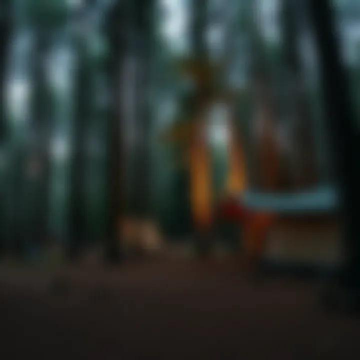 A forested area ideal for nature lovers and campers