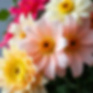 Exploring the Diversity of Large Flower Varieties Close-up of unique large flower varieties