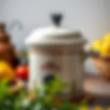 Traditional pressure cooker with vintage design