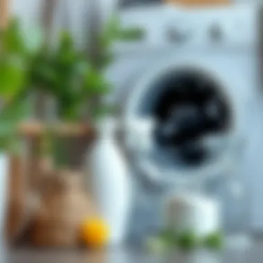 Natural cleaning products for washing machine maintenance
