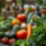 A selection of winter vegetables in a garden setting