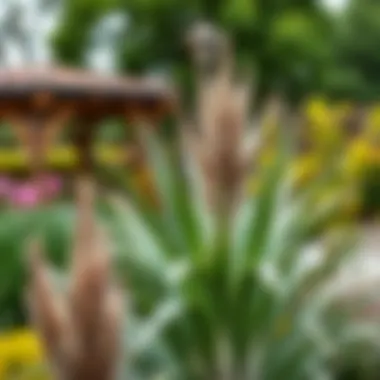 A serene garden setting with Yucca plants enhancing the landscape