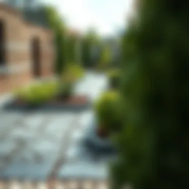 Elegant stone paving design featuring intricate patterns