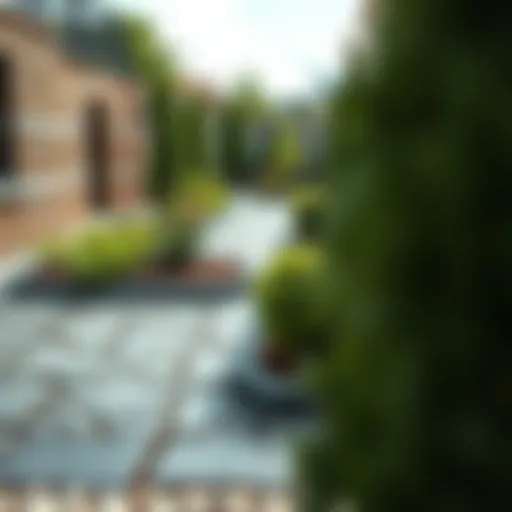 Elegant stone paving design featuring intricate patterns